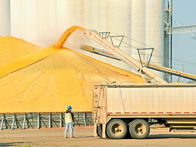 Strong corn yields in areas such as northern and central Illinois, Minnesota and Wisconsin helped support farms in 2016, Image by Jim Patrico