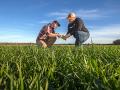 Adam and Seth Chappell use cover crops to help disrupt the germination of herbicide resistant Palmer amaranth on their Arkansas farm, Image by Lisa Buser