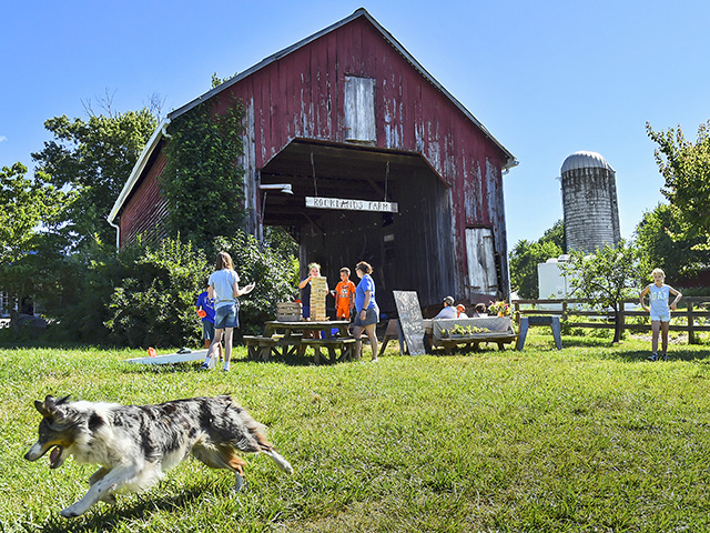 Maryland farm-to-fork camp is more about teaching kids the production side of agriculture than it is agritourism. (DTN/Progressive Farmer photo by Tom Gralish)