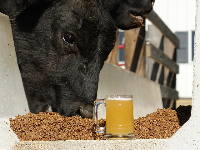 Not just any drink will do when you&#039;re trying to maximize gains in livestock.(DTN/Progressive Farmer photo by Jim Patrico)