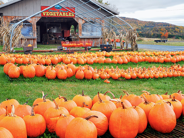 (Progressive Farmer image by Getty Images)