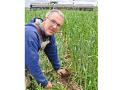 More and more, experienced cover-crop users such as Steve Berger let cereal rye grow tall ahead of soybeans to maximize benefits. He terminates rye at planting when the ground is fit to plant soybeans, but for planting corn, he terminates rye two to three weeks ahead. (Progressive Farmer image by Lynn Betts)