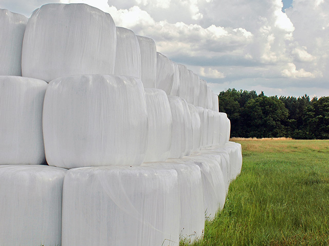 How You Harvest For Baleage Can Make A Difference In Operation Costs And Overall Efficiency