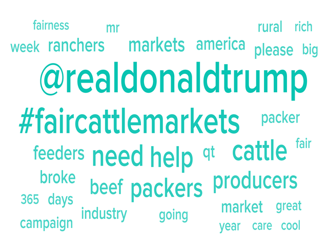 An impression shot of the key words that showed up most frequently in more than 3,000 tweets over a 24-hour span on Tuesday and Wednesday from the hashtag #FairCattleMarkets. A Montana cattle producer championed the social media campaign as a way to grab President Donald Trump's attention regarding losses by cattle feeders. (Image from Twitter)
