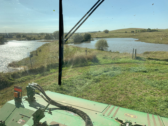 Several years of above-normal precipitation have had a negative effect on forages being raised in the Nebraska Sandhills region. Many ranchers now face the tough decision of either culling cow numbers to lessen feed costs or buying hay and other feeds. (Photo courtesy of Casey Cooksley)