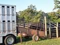 (Progressive Farmer image by Becky Mills)