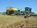 Chris Gaesser, Corning, Iowa, plants seed soybeans for Stine Seed into a cover crop. (Progressive Farmer image by Matthew Wilde)