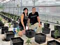 Annette and Bruce Wiles are some of the first producers in Nebraska to grow hemp. They also produce hops for regional brewers. (Progressive Farmer image courtesy of Annette Wiles)