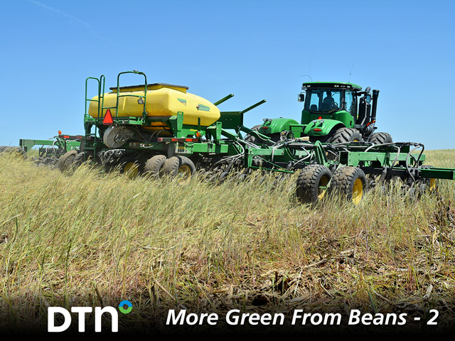 Chris Gaesser, of Corning, Iowa, plants seed soybeans for Stine Seed into a cover crop. (DTN/Progressive Farmer photo by Matthew Wilde)