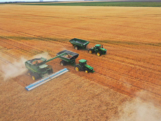 Wheat harvest on a western Kansas farm, where growers are pushing the limits of wheat productivity. Three wheat growers breached the 200-bushel barrier in the National Wheat Yield Contest this year. (DTN photo by Joel Reichenberger) 