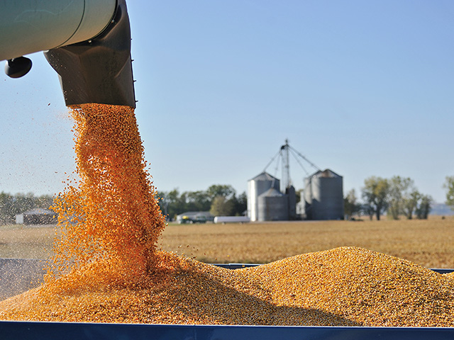 (Progressive Farmer image by Jim Patrico)