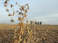 (Progressive Farmer image by Pamela Smith)