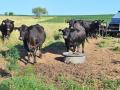 (Progressive Farmer image by Victoria G. Myers)