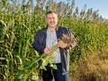 No-till practices plus cover crops benefit Rodney Rulon&#039;s corn yield by 5 to 12 bushels per acre and beans, 3 to 4 bushels per acre. (Progressive Farmer image by Mary Ann Carter)