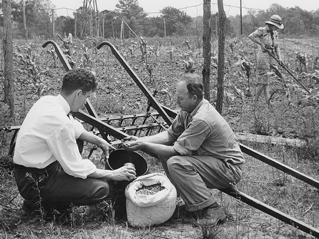 (Progressive Farmer image by USDA Extension Service)
