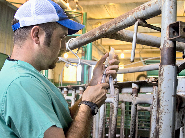 It can take six to 10 weeks to identify a pathogen and create a custom vaccine. (Progressive Farmer photo by Claire Vath)
