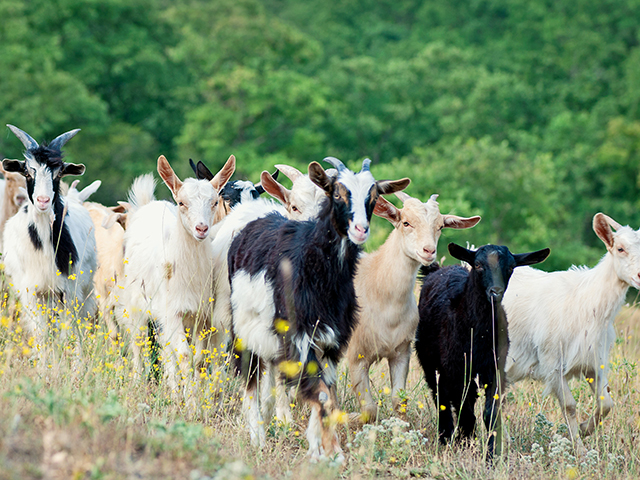 (Progressive Farmer image by Getty Images)