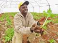 Johanney Chongani coordinates production on 10 different crops, which total nearly 15 acres, at Jim Blessman&#039;s Mountain View Training and Research Farm. (Progressive Farmer image by Harlen Persinger)