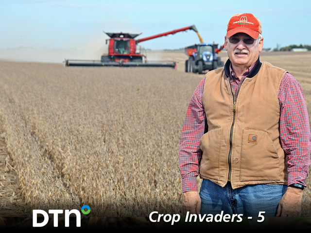 Ron Heck helping solve one of the Midwest&#039;s great agricultural mysteries. (DTN/Progressive Farmer photo by Matthew Wilde)