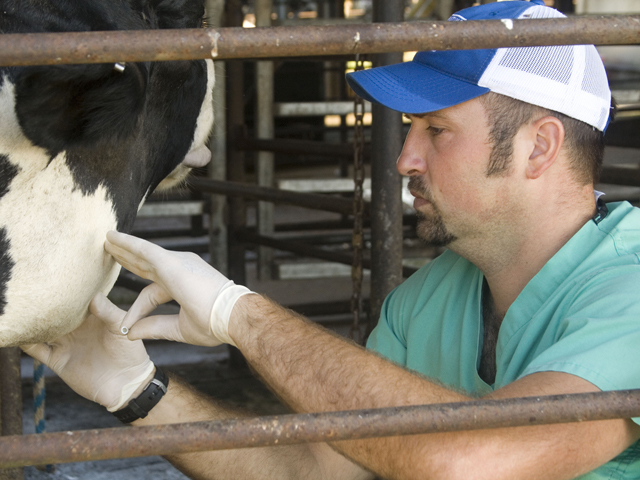 There are more than 200 different coronaviruses, and it is very uncommon for them to cross species, according to Dr. John Howe, a veterinarian out of Minnesota and current president of the American Veterinary Medical Association. (DTN/Progressive Farmer photo by Claire Vath)