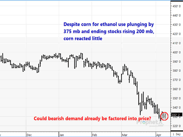 The May corn chart reflects little change in price shortly after the WASDE report was released. (DTN ProphetX Chart)