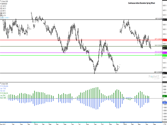 December MGEX spring wheat reached a fresh contract low on April 21 while extending the move in April 22 trade. Retracement theory points to the next level of potential support at $5.30 3/4/bu. The blue bars on the lower study shows noncommercial traders holding a steady net-short position over three weeks, while the green bars shows the bullish net-long held by commercial traders falling for five weeks. (DTN ProphetX chart)