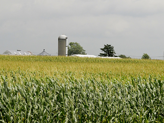 Iowa lawmakers continue to press EPA to stop issuing small-refinery waivers to the Renewable Fuel Standard. (DTN file photo by Scott R Kemper)