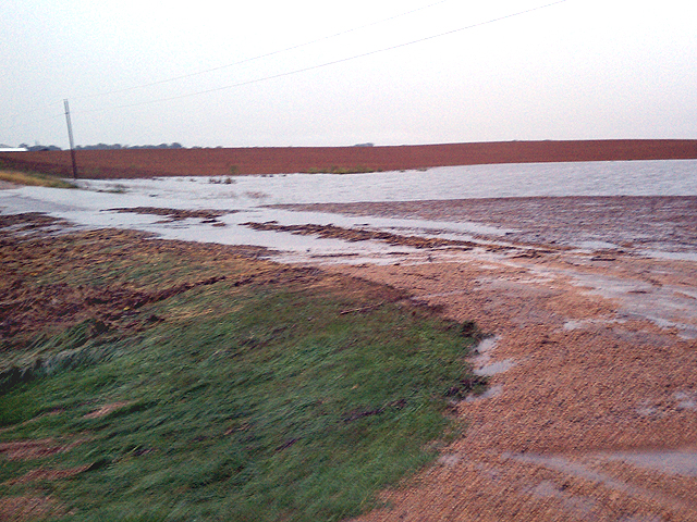 Southern Minnesota had almost a full month with no planting in 2019 because of heavy rain. (Photo by Sam Ziegler)