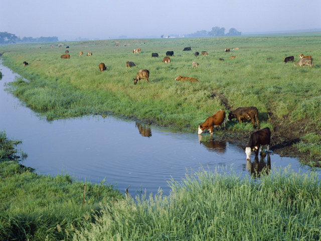 The state of Nebraska put its support behind a rewrite of the waters of the United States rule. (DTN file photo)