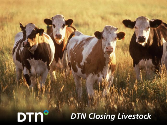 Feeder Cattle Futures Plunge On Corn Rally