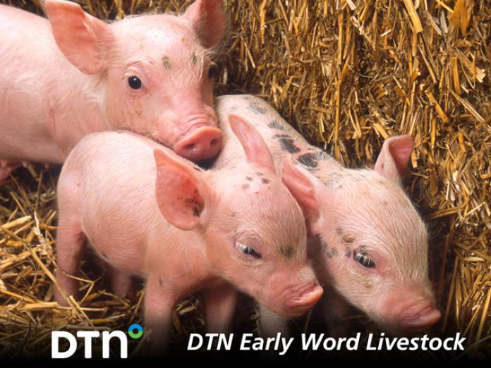 Livestock Futures Set For Moderate Opening Strength