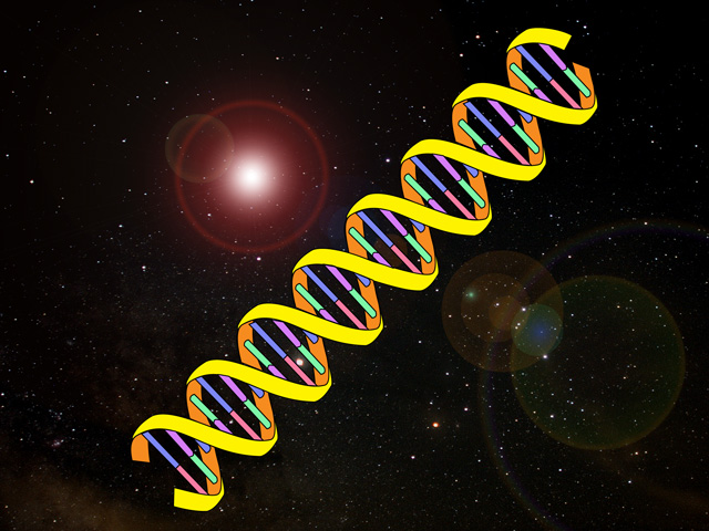 A new report from the Academy of Science, Engineering and Medicine delved into the effects of genetically engineered crops on human, animal and environmental health. (DTN photo by Nick Scalise)