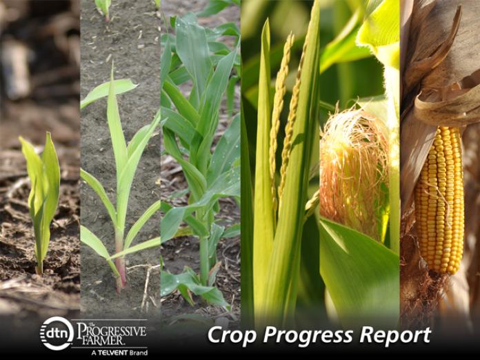 First Crop Progress Report Of Season Shows Winter Wheat Conditions
