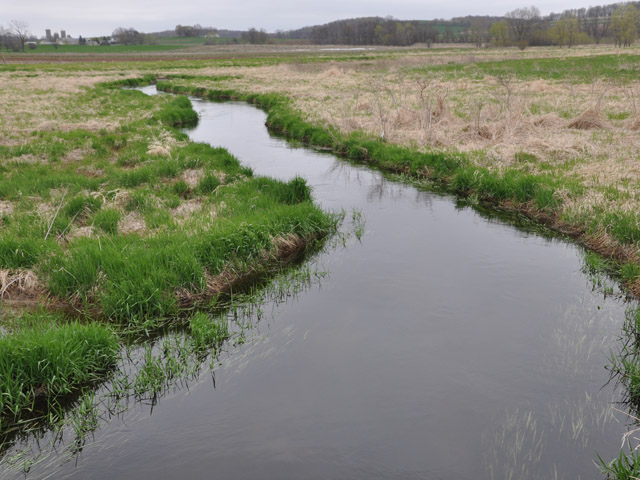 The waters of the United States rule has been the subject of numerous lawsuits since it was finalized in 2015. (DTN file photo by Chris Clayton)