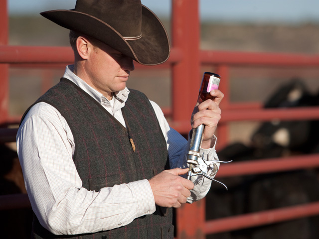 USDA has prescribed vaccination as the method for dealing with a foot-and-mouth disease outbreak. There has been no outbreak of the disease in the U.S. since 1929, but ag groups want to be prepared if there ever is. (DTN/Progressive Farmer file photo)