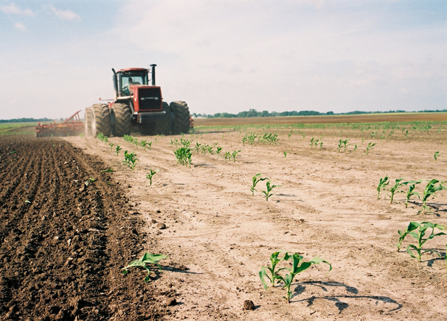 A farmer tears up a cornfield for replant. The demand for replant corn seed is nearing record highs this spring, seed companies said. (DTN photo by Greg Horstmeier)