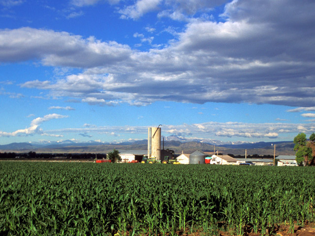 Bankers say they&#039;ve been proactive in helping farmers head off financial problems early. (DTN file photo)