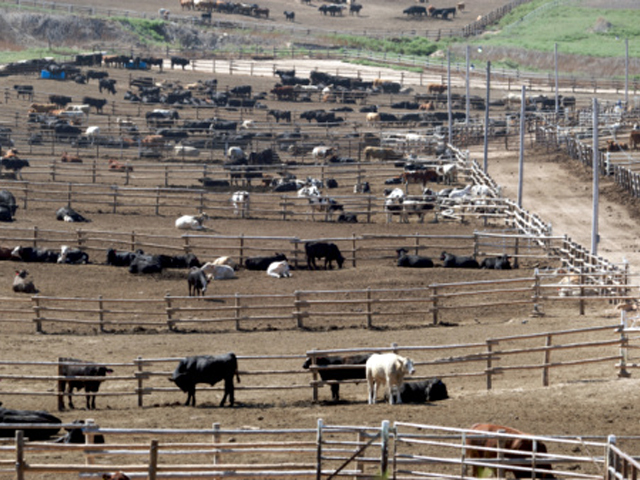 Environmental Groups Ask EPA to End Ag Stormwater Exemption