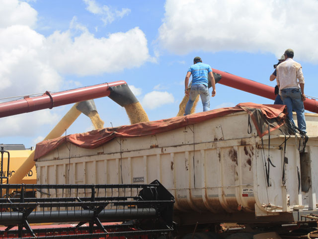 Soybean cash price in Brazil increased dramatically in the past several months, influencing Brazilian farmers to sell off their crop. (DTN file photo)
