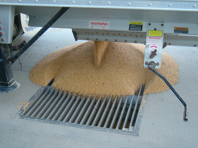 Corn being delivered to an elevator. (DTN file photo by Dan Davidson)