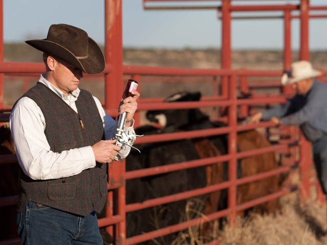 The Farm Foundation is highlighting problems the group found among livestock producers and veterinarians on new FDA rules restricting the use of antibiotics in feed. The rules come into effect later this year and will limit the way farmers can use some antibiotics that are now readily available.  