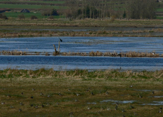 Agriculture and environmental groups both expressed concern about a USDA interim final rule on highly erodible land and wetland conservation. (Photo courtesy of Wiki Commons)