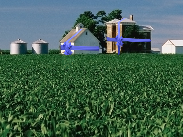 Whether you gift the farm at death or during your lifetime will affect your heirs' tax basis, should they ever wish to sell. (DTN file photo)