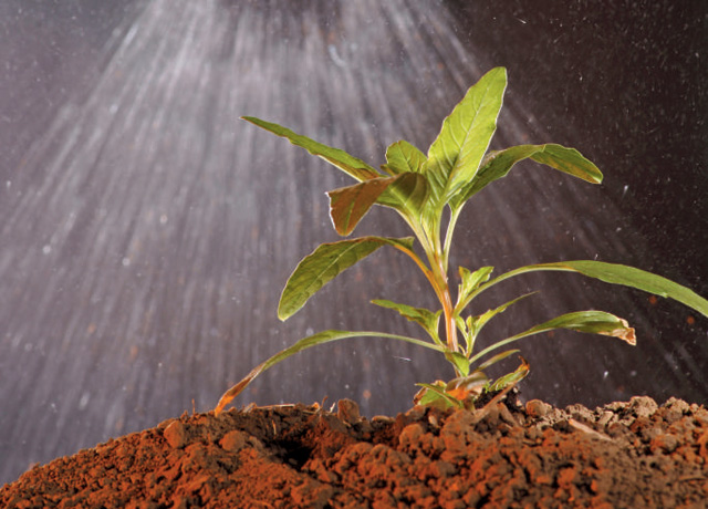 The state of California is facing a legal challenge on a law that requires labels for products containing glyphosate. (DTN file photo) 
