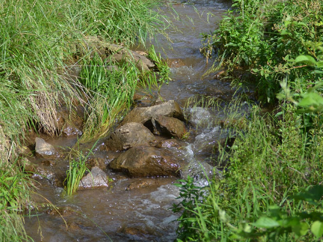 Farmers and ranchers may find answers in 2019 on questions of Clean Water Act jurisdiction. (Progressive Farmer file photo by Dan Miller) 