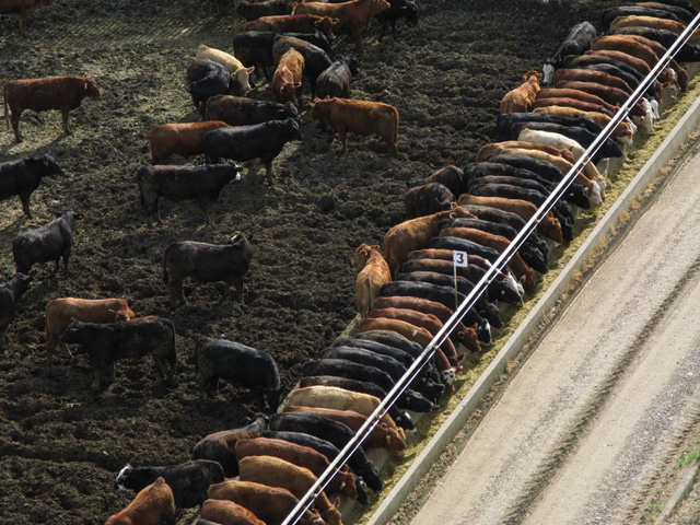 USDA was required by the 2008 farm bill to implement livestock marketing rules by June 2010. (DTN file photo)