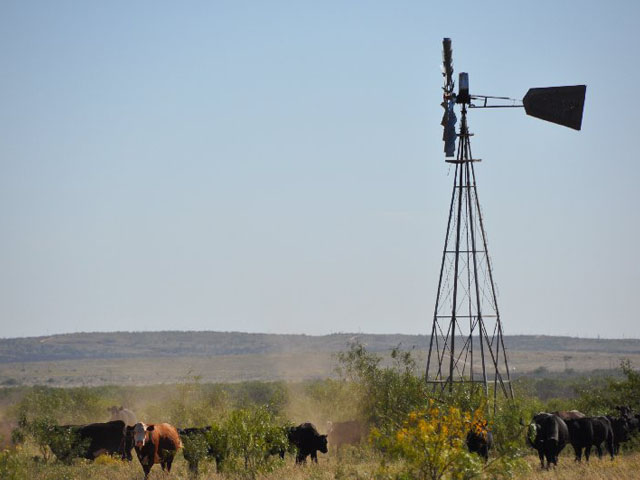 (DTN/The Progressive Farmer file photo by Chris Clayton)