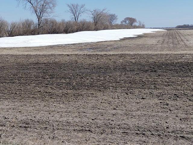 Snow is still present in the windrows at Ness Farms as of May 4, 2022. (Photo by Peter Ness)