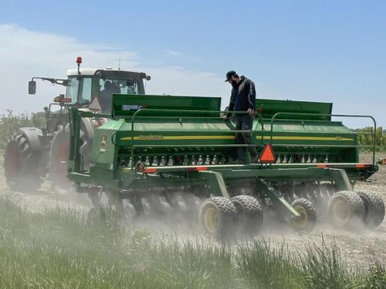 It was a dusty week for finishing up planting in southwest Ontario. It&#039;s just another risk farmers measure. That brings up the question of subsidy, notes DTN Contributing Analyst Philip Shaw, who hopes the rain comes soon. (DTN photo by Philip Shaw)
