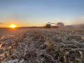 Nebraska farmers can expect to see higher net farm income in 2023. (DTN file photo)
